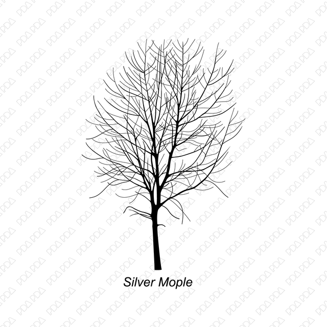 Vector and PNG Trees