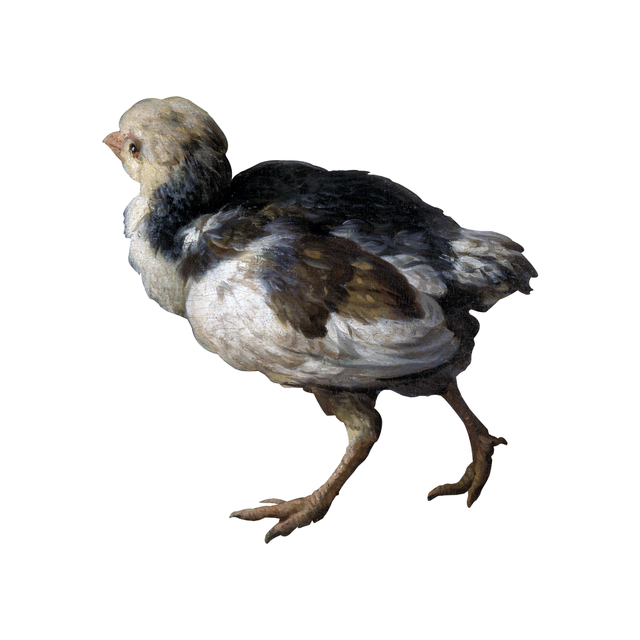 PNG Chicks by Melchior d'Hondecoeter Painter Set (FREE)