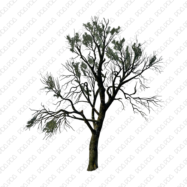 Artcutout Trees Multi-Pack (50 PNGs) - Post Digital Architecture — Free and Affordable Resources for Architects