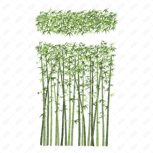 PNG Japanese Style Bamboo Plants (Topview + Sideview) - Post Digital Architecture — Free and Affordable Resources for Architects