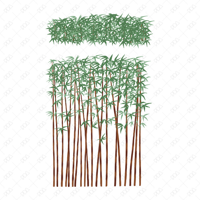 PNG Japanese Style Bamboo Plants (Topview + Sideview) - Post Digital Architecture — Free and Affordable Resources for Architects