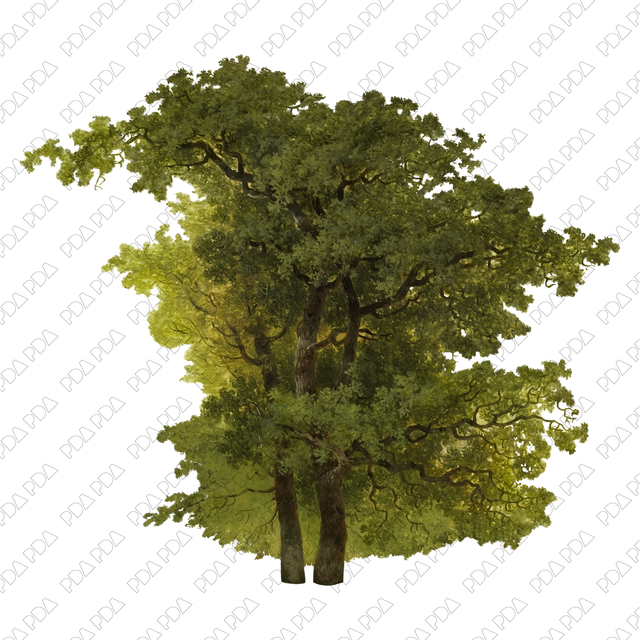 Artcutout Trees Multi-Pack (50 PNGs) - Post Digital Architecture — Free and Affordable Resources for Architects