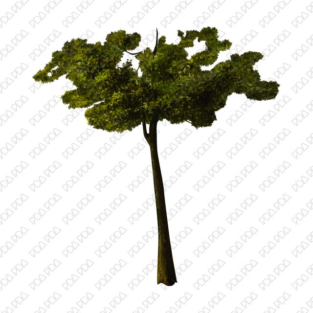 Artcutout Trees Multi-Pack (50 PNGs) - Post Digital Architecture — Free and Affordable Resources for Architects