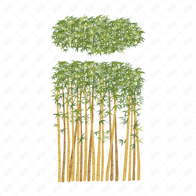 PNG Japanese Style Bamboo Plants (Topview + Sideview) - Post Digital Architecture — Free and Affordable Resources for Architects