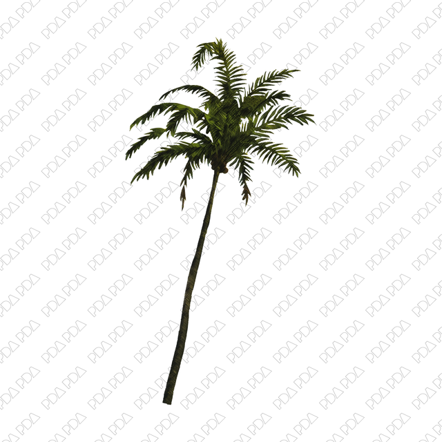 Artcutout Trees Multi-Pack (50 PNGs) - Post Digital Architecture — Free and Affordable Resources for Architects