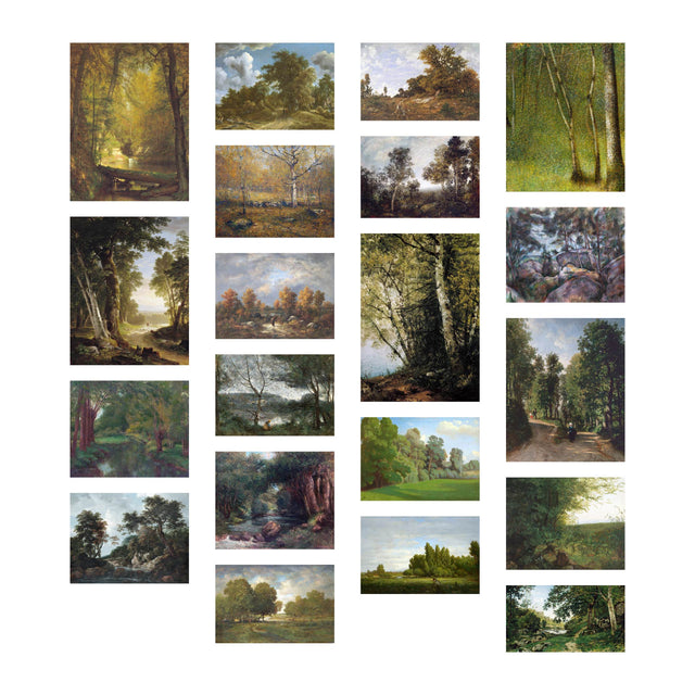 Forest and Woods Scenes Backgrounds Set (High Resolution) - Post Digital Architecture — Free and Affordable Resources for Architects