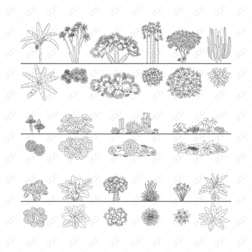 CAD, Vector Tropical Plants Set (Top + Side view) | Post Digital ...