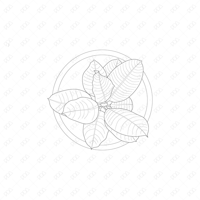 مجموعة نباتات داخلية بتصميم CAD وVector (منظر علوي) - هندسة ما بعد الرقمية - موارد مجانية وبأسعار معقولة للمهندسين المعماريين
