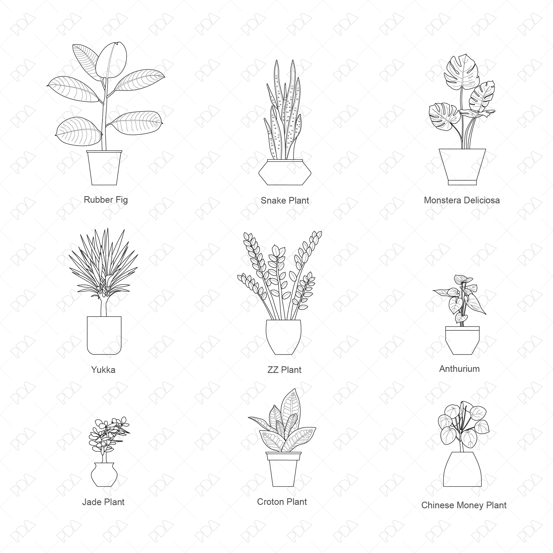 house plant line drawing CAD & Vector Indoor Plants Set