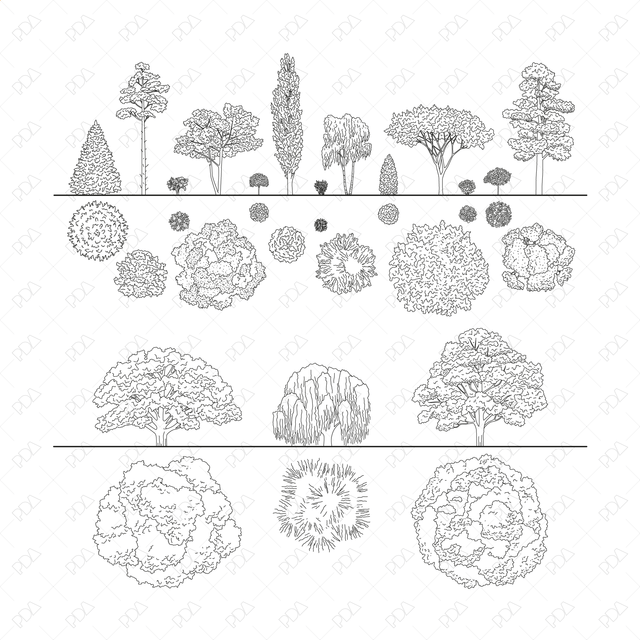 CAD and Vector European Trees and Plants Set (Top + Side view)