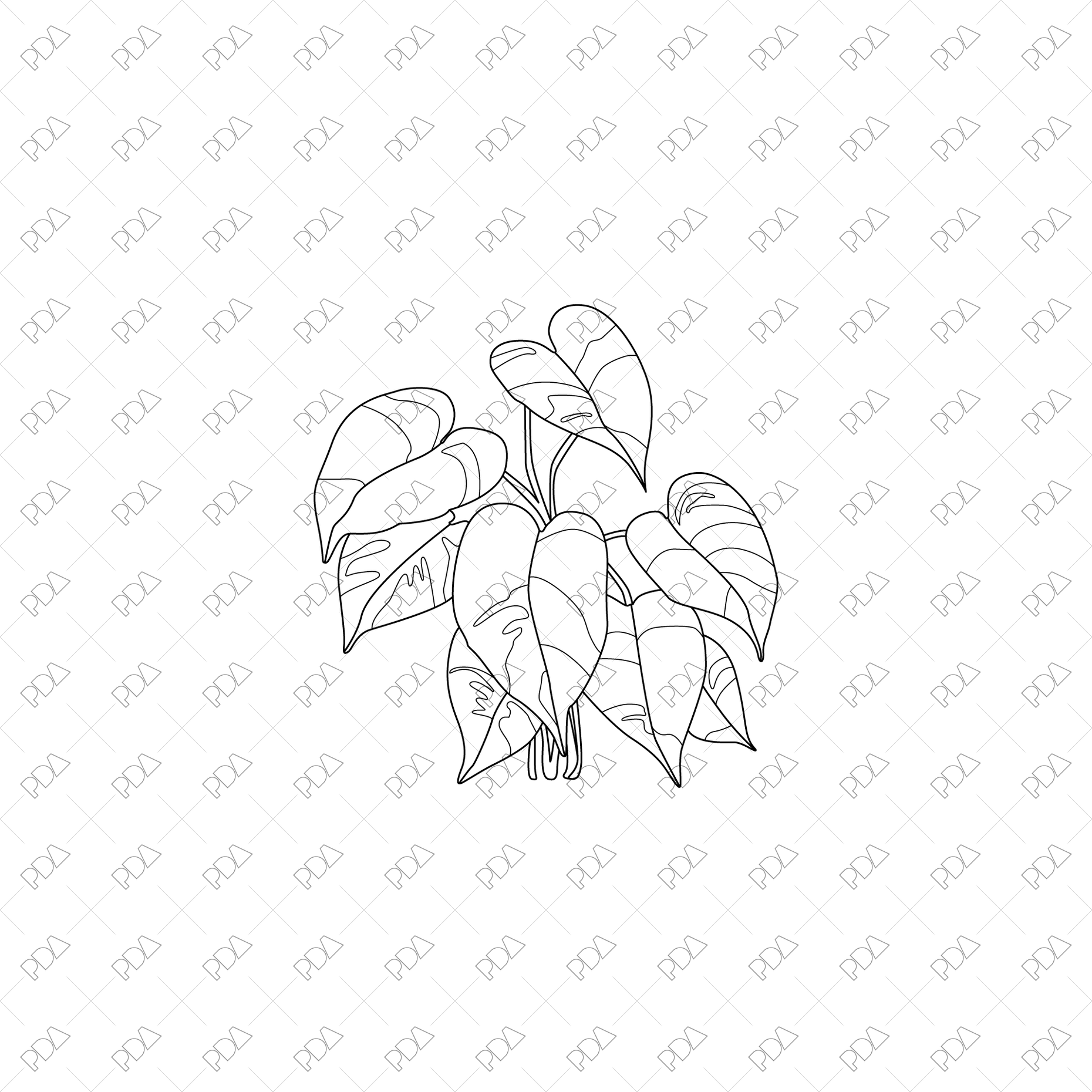 CAD, Vector, PNG Large Leaves Plants Pack