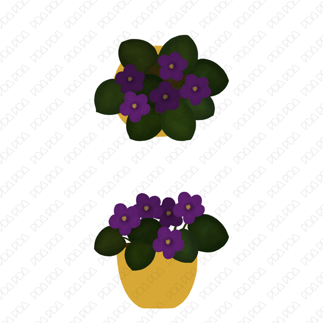Indoor Plants Multi-Pack (Top View and Side View) - Post Digital Architecture — Free and Affordable Resources for Architects
