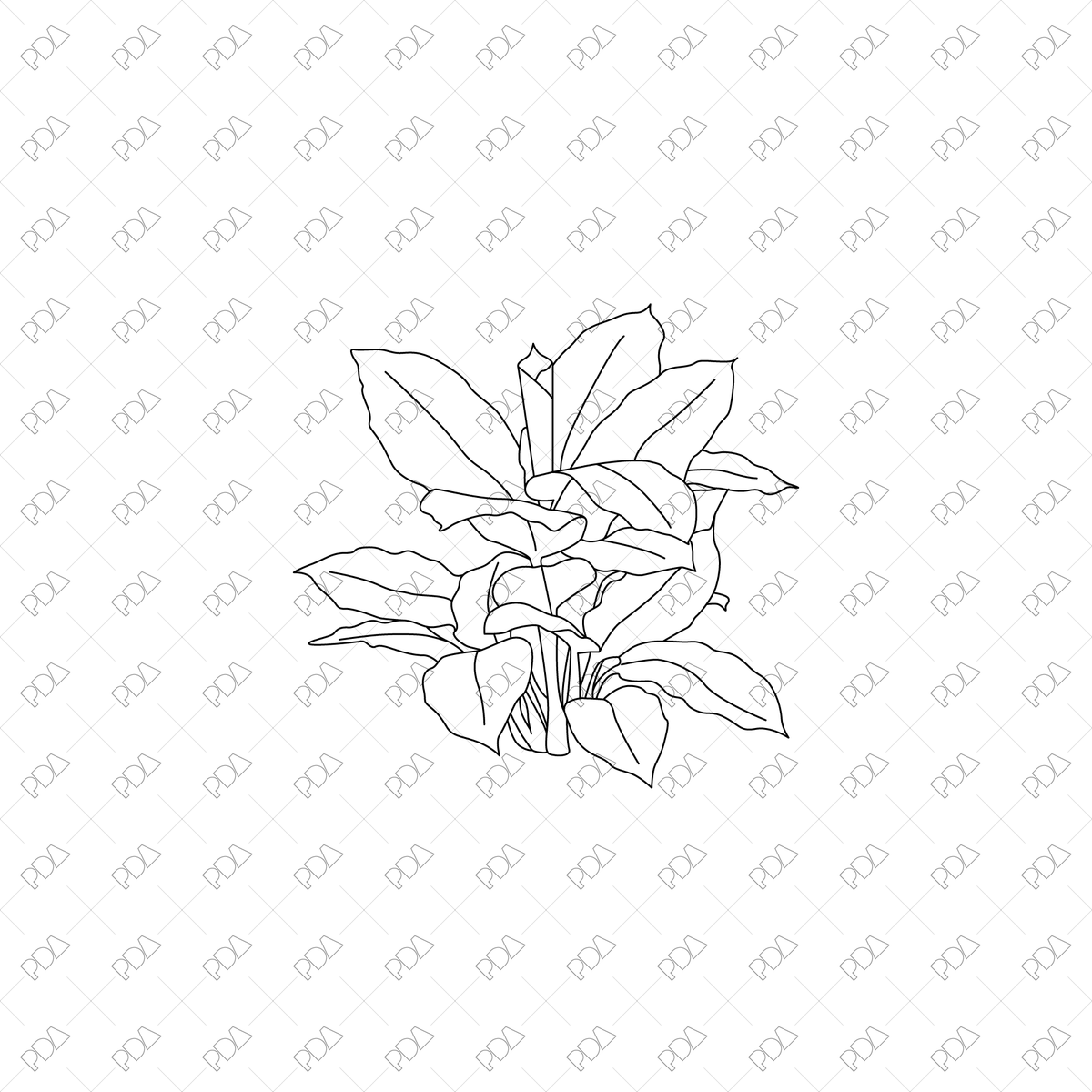 Large Leaves Plants Multi-Pack - CAD & Vector