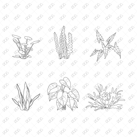 Large Leaves Plants Multi-Pack - CAD & Vector