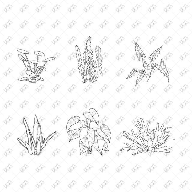 CAD, Vector, PNG Large Leaves Plants Multi-Pack (Front + Side view ...
