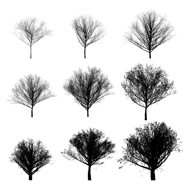 PNG Cherry Blossom Silhouettes Set - Post Digital Architecture — Free and Affordable Resources for Architects