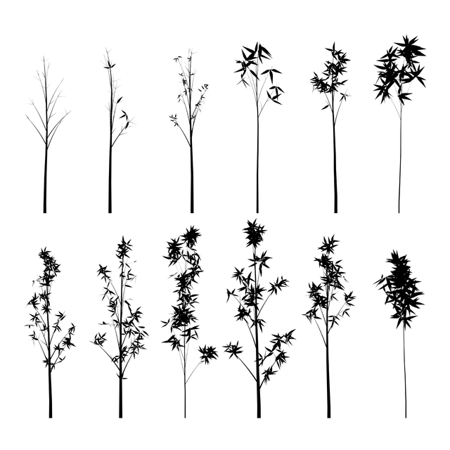 PNG Bamboo Silhouette Set - Post Digital Architecture — Free and Affordable Resources for Architects