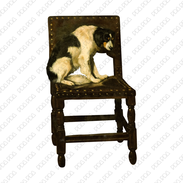 Artcutouts Singles: Dog Sitting on a Chair (PNG)