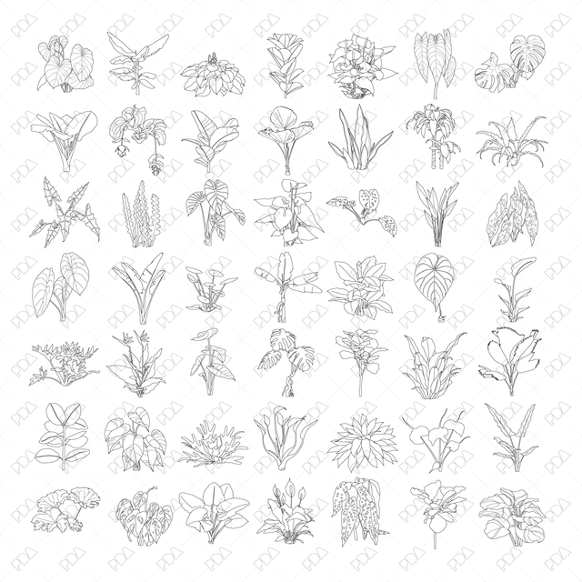 CAD, Vector, PNG Large Leaves Plants Multi-Pack (Front + Side view)