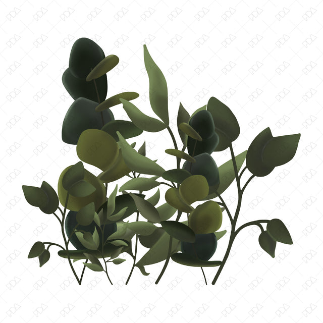 Free Hand Drawn Plants Inspired by Henri Rousseau - Post Digital Architecture — Free and Affordable Resources for Architects