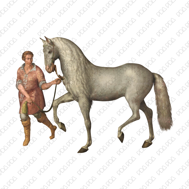 Artcutout Scenes - Animals and Farm: Rider Leads a Horse (PNG)