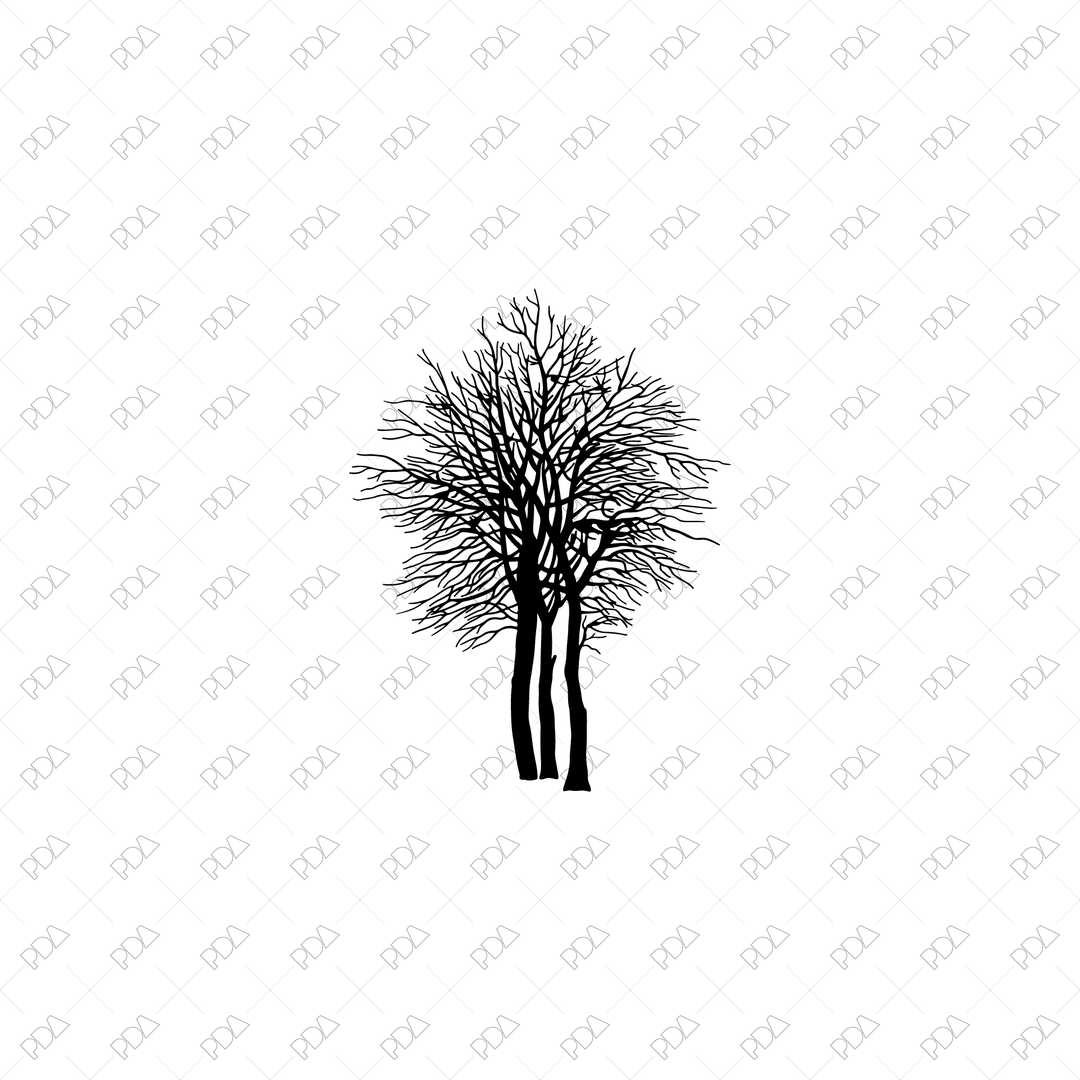 50+ Vector & PNG Tree Silhouettes Pack
