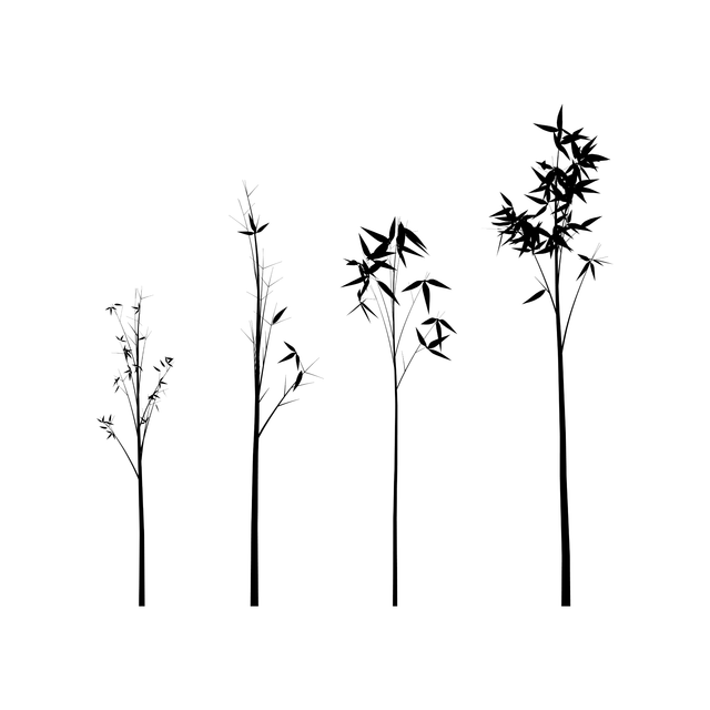 PNG Bamboo Silhouette Set