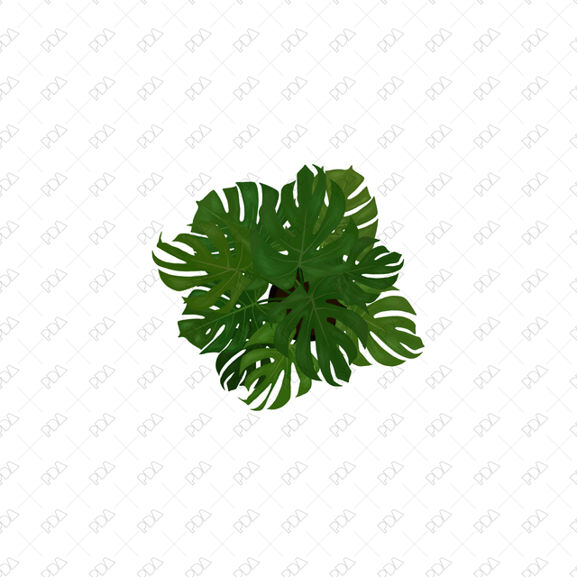 PNG Houseplants with Large Leaves in Top View - Post Digital Architecture — Free and Affordable Resources for Architects
