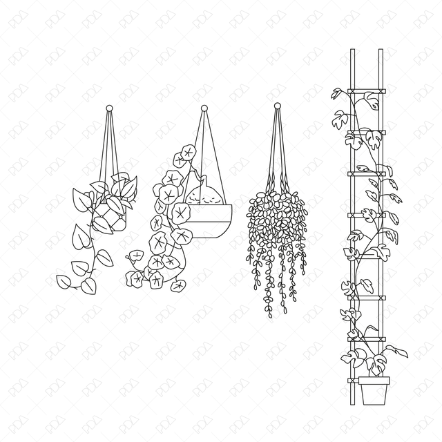 CAD and Vector Hanging Plants Set (Front + Side view)