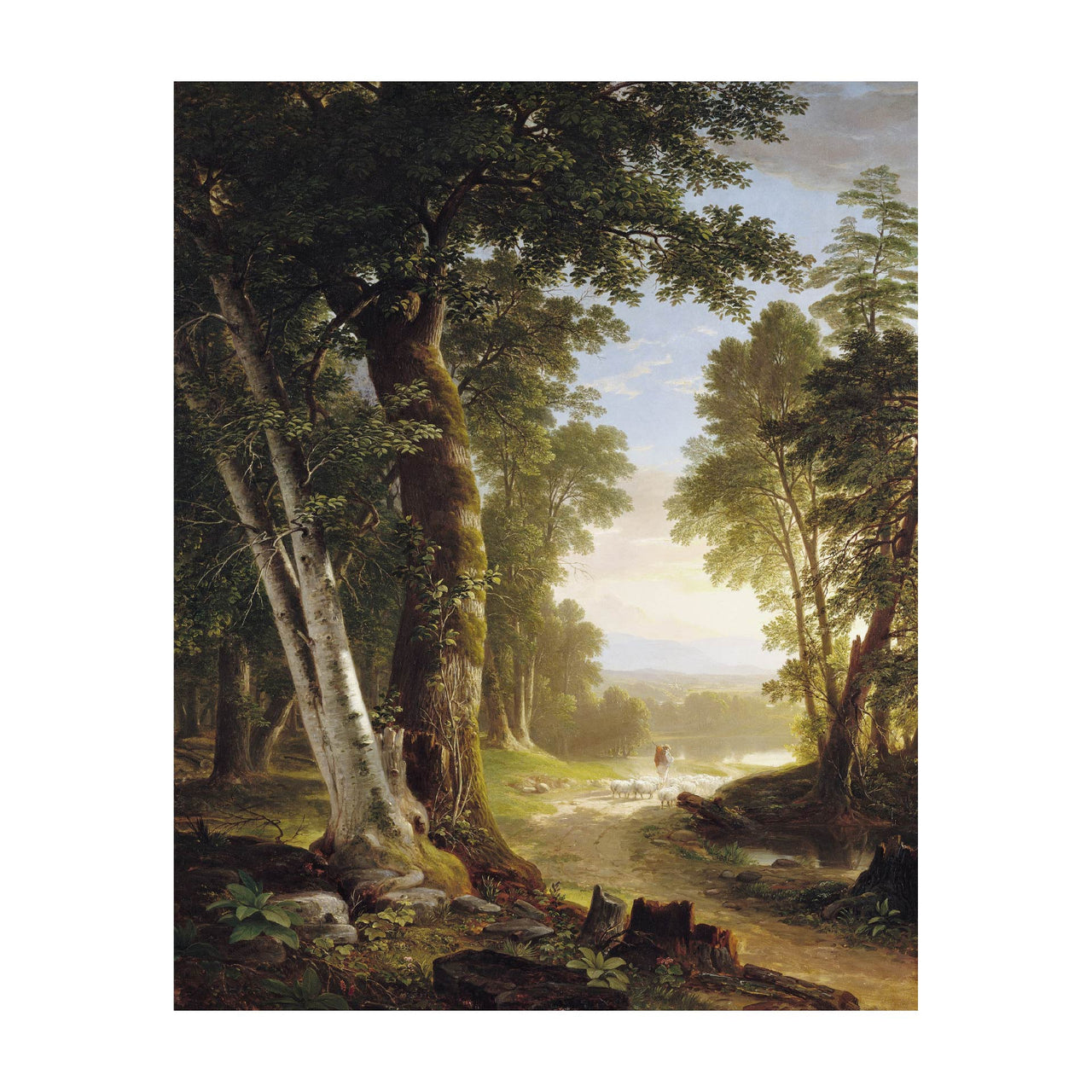 Forest and Woods Scenes Backgrounds Set (High Resolution) | Post ...