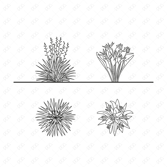 CAD, Vector Tropical Plants Set (Top + Side view)