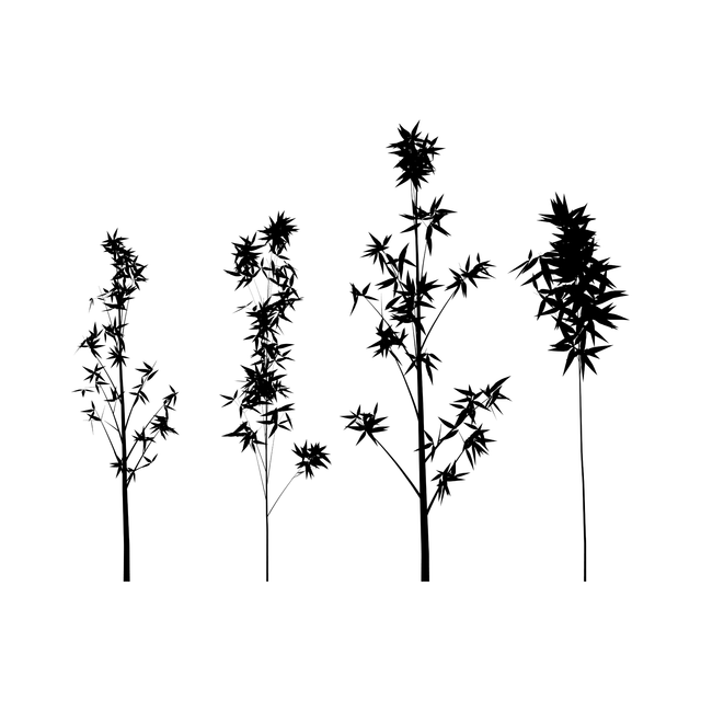 PNG Bamboo Silhouette Set