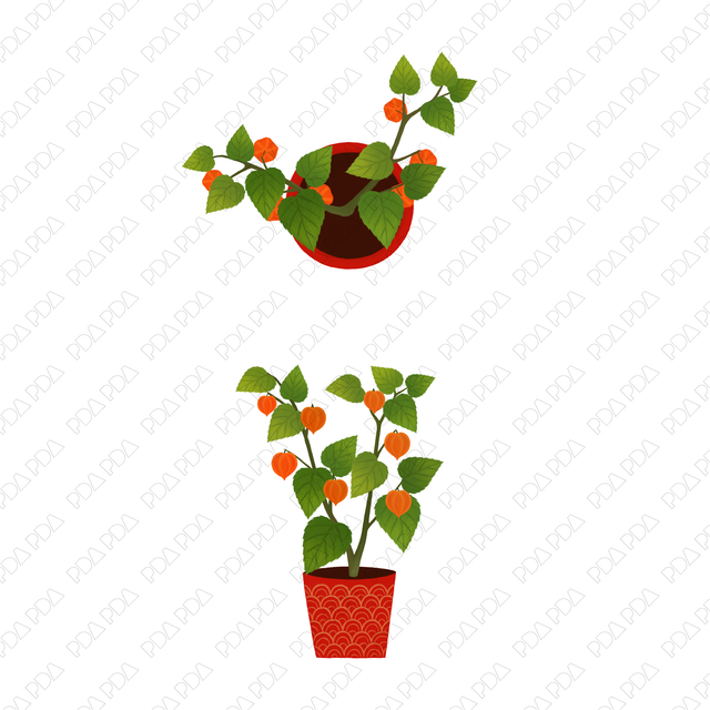 Indoor Plants Multi-Pack (Top View and Side View) - Post Digital Architecture — Free and Affordable Resources for Architects