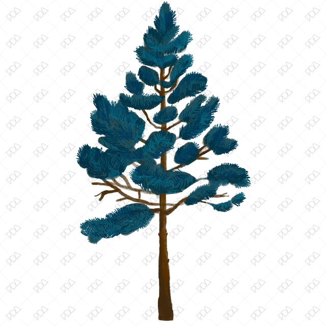 Hand Drawn Coniferous Trees - Post Digital Architecture — Free and Affordable Resources for Architects
