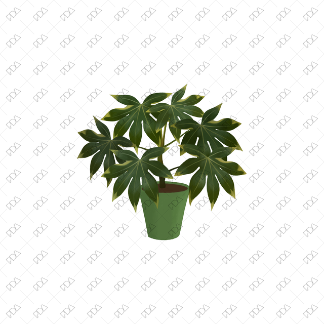 PNG Houseplants with Large Leaves in Front and Side Views - Post Digital Architecture — Free and Affordable Resources for Architects