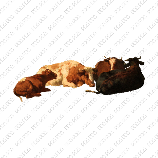 Artcutout Scenes - Animals and Farm: Cows Lying on Ground  (PNG)