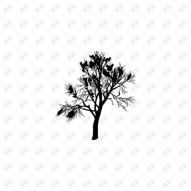 Vector, PNG Trees and Plants Silhouettes Multi-Pack (50+ PNGs)