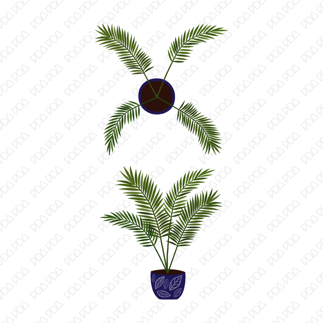 Indoor Plants Multi-Pack (Top View and Side View) - Post Digital Architecture — Free and Affordable Resources for Architects