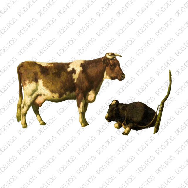 Free Cutout Cows PNG