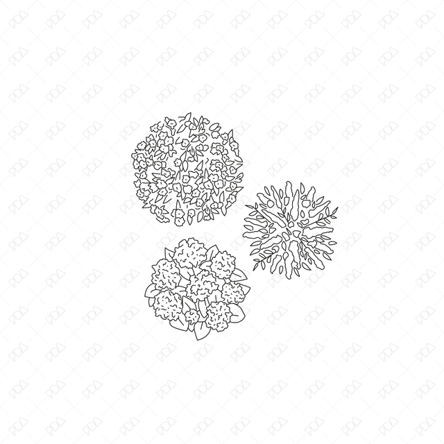 CAD and Vector European Trees and Plants Set (Top + Side view)