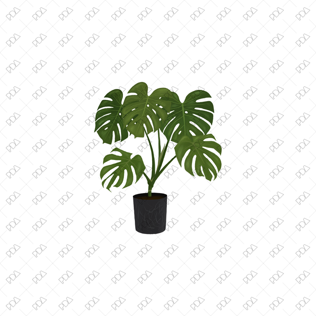 PNG Houseplants with Large Leaves in Front and Side Views - Post Digital Architecture — Free and Affordable Resources for Architects