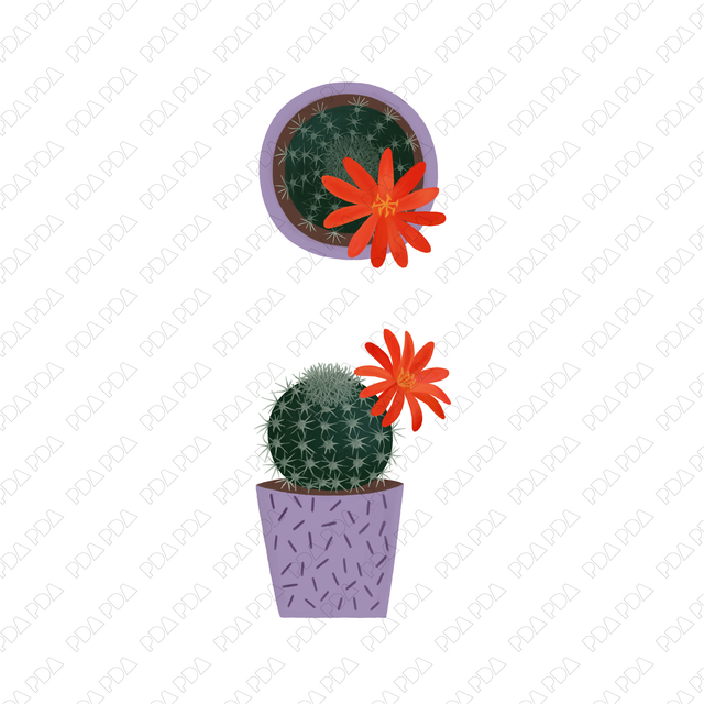 Indoor Plants Multi-Pack (Top View and Side View) - Post Digital Architecture — Free and Affordable Resources for Architects