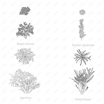 DWG & Vector Japanese Style Trees Multi-Pack (Top view + Sideview ...