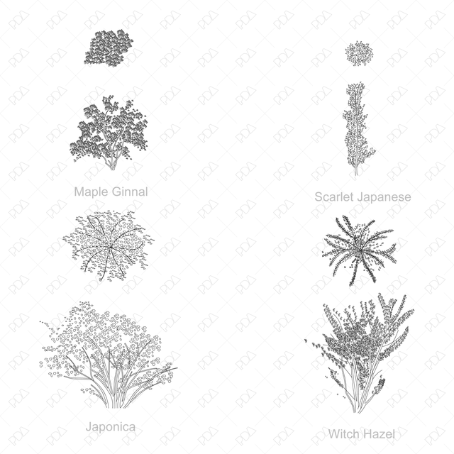 DWG & Vector Japanese Style Trees Multi-Pack (Top view + Sideview)