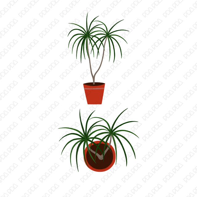 Indoor Plants Multi-Pack (Top View and Side View) - Post Digital Architecture — Free and Affordable Resources for Architects