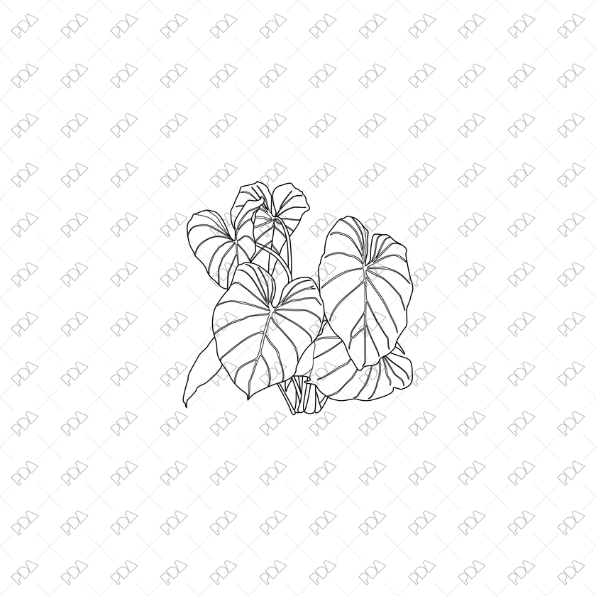 Large Leaves Plants Multi-Pack - CAD & Vector