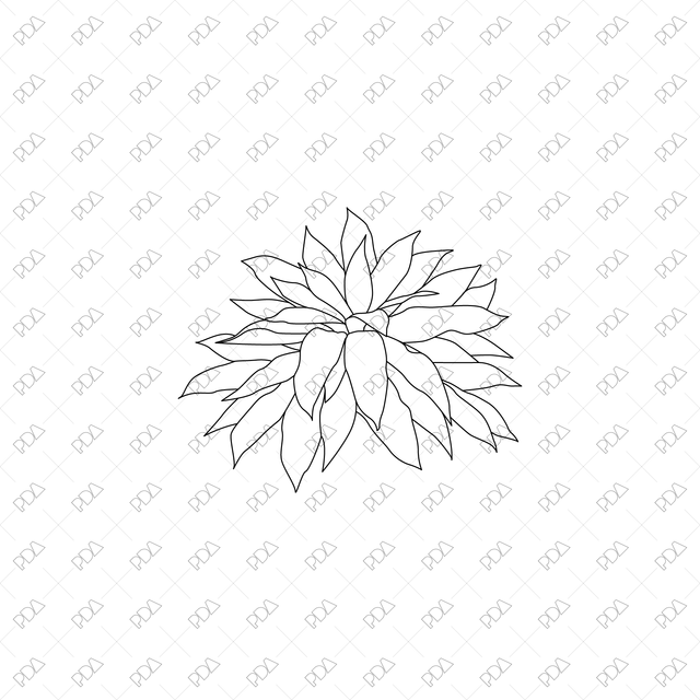 CAD, Vector, PNG Large Leaves Plants Multi-Pack (Recommended) - Post Digital Architecture — Free and Affordable Resources for Architects