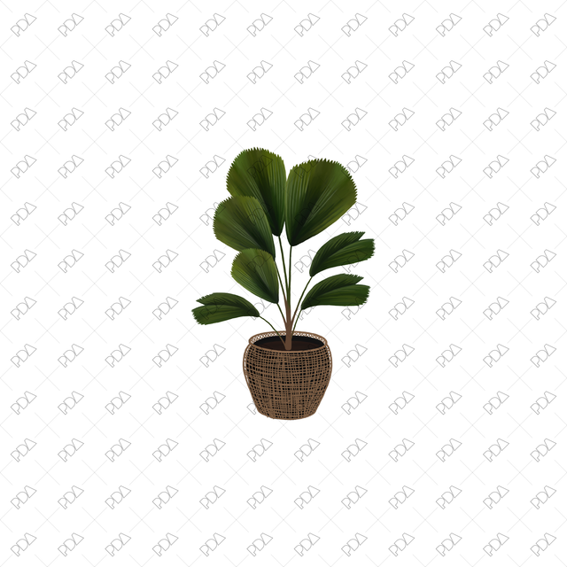 PNG Houseplants with Large Leaves in Front and Side Views - Post Digital Architecture — Free and Affordable Resources for Architects