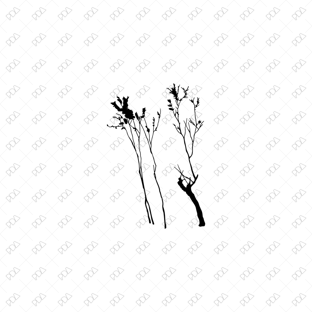 50+ Vector & PNG Tree Silhouettes Pack