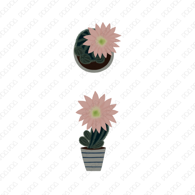 Indoor Plants Multi-Pack (Top View and Side View) - Post Digital Architecture — Free and Affordable Resources for Architects